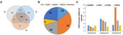 GPCRomics: GPCR Expression in Cancer Cells and Tumors Identifies New, Potential Biomarkers and Therapeutic Targets